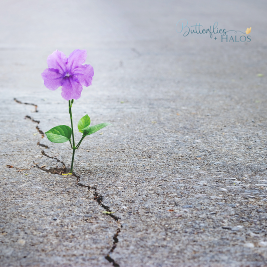 Give Up Pessimism and Choose Hope