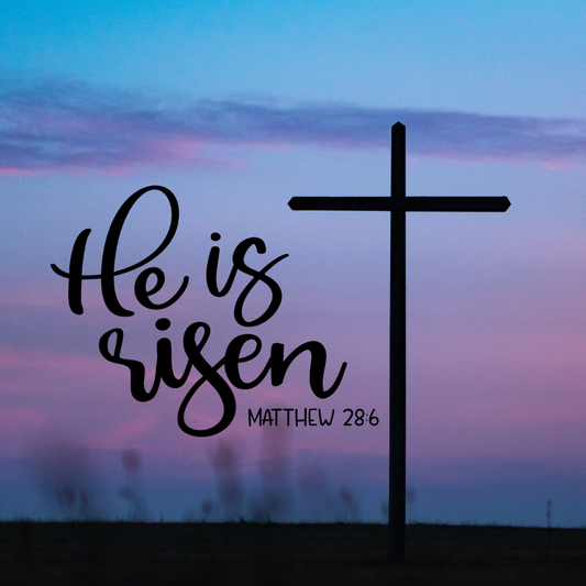 Easter Reflection: What We’re Rising Into