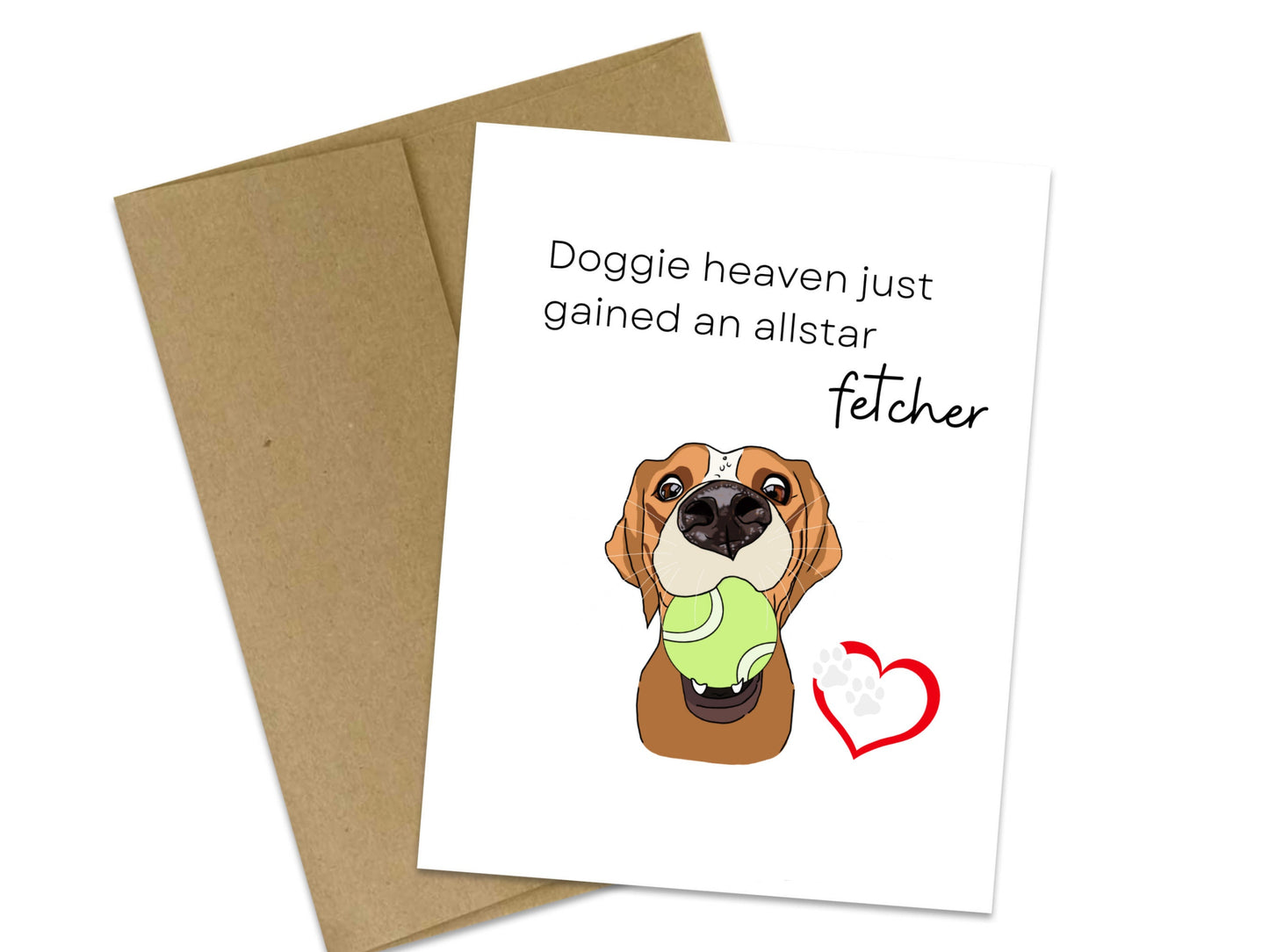 Doggie heaven just gained an all-star fetcher