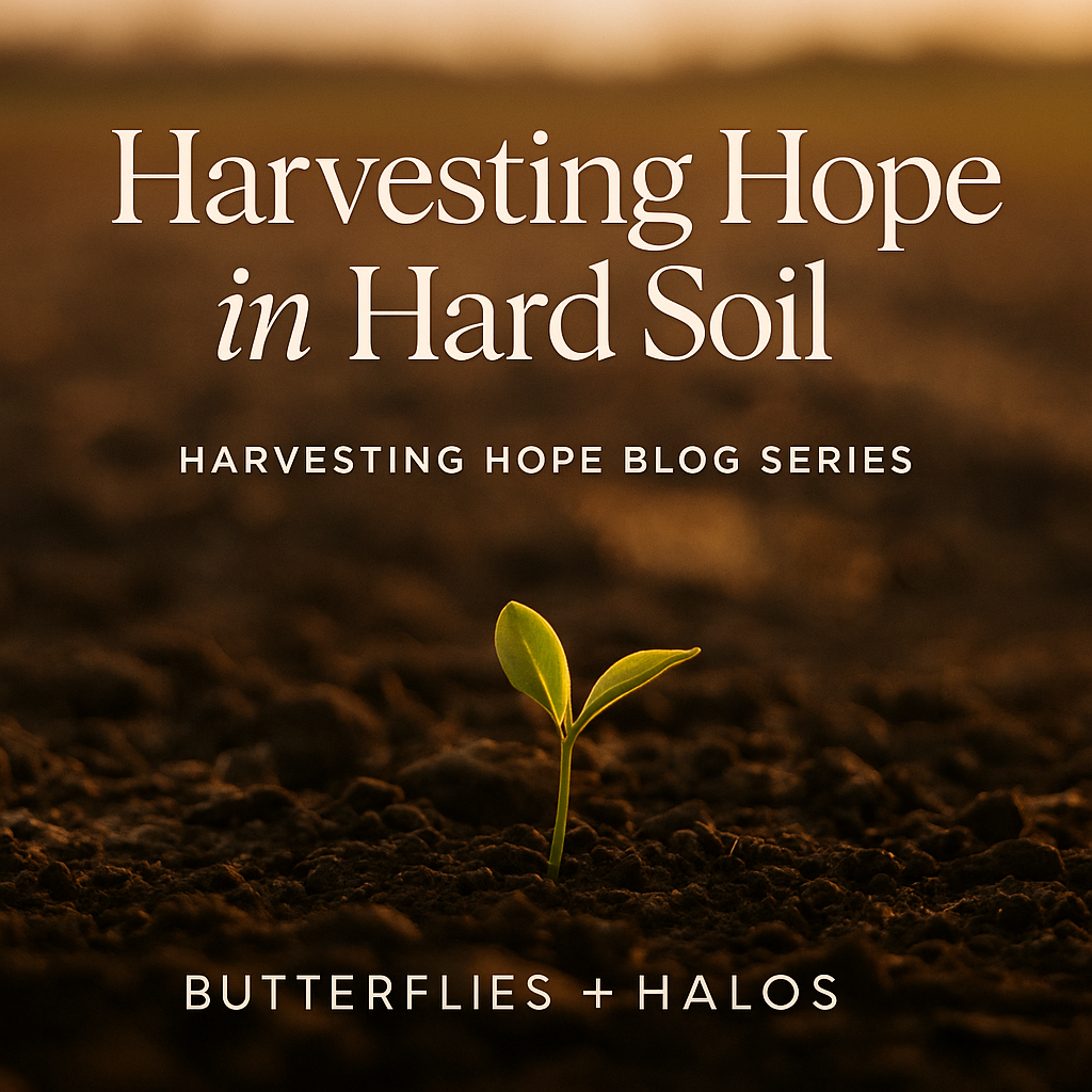 Harvesting Hope in Hard Soil