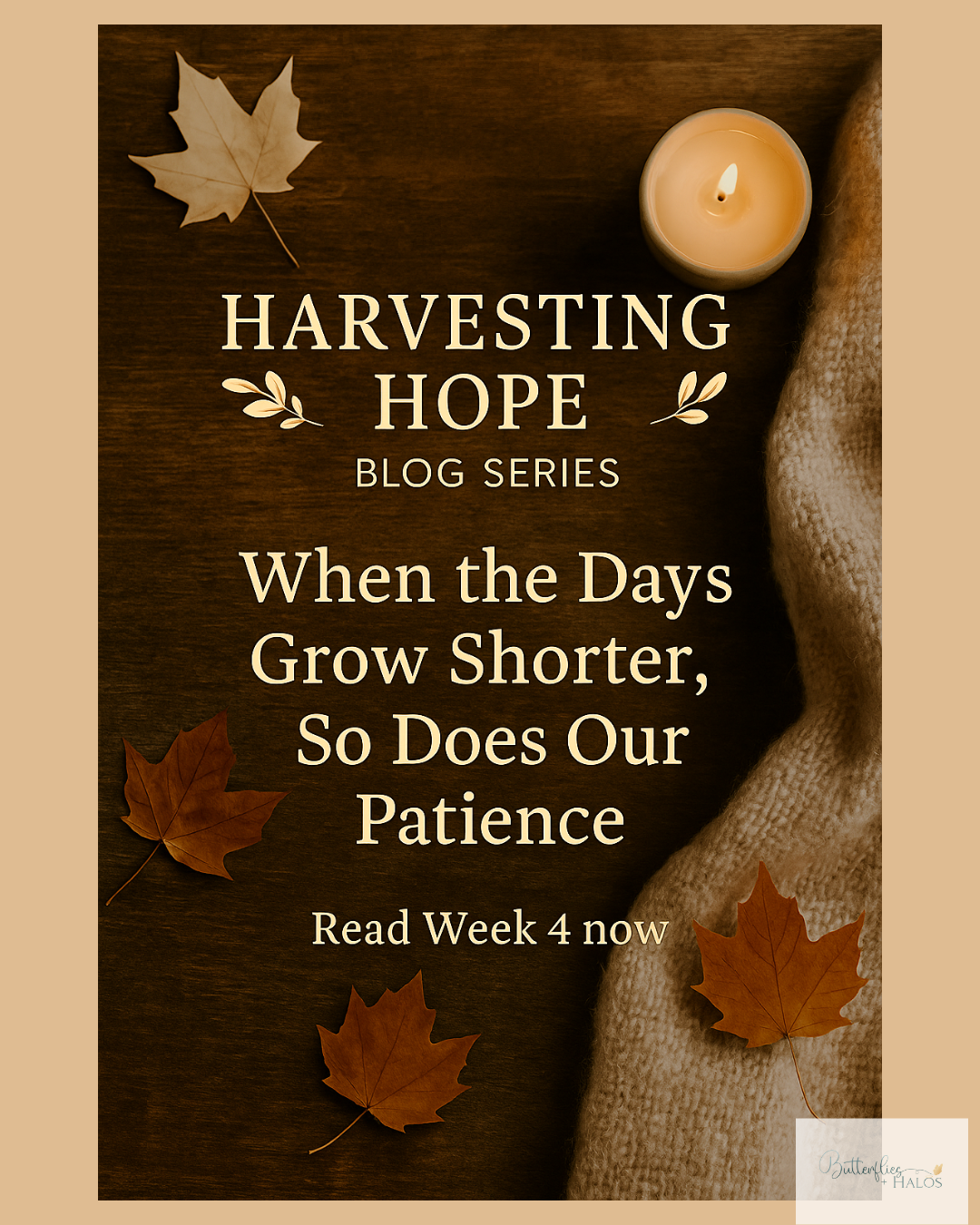 When the Days Grow Shorter, So Does Our Patience
