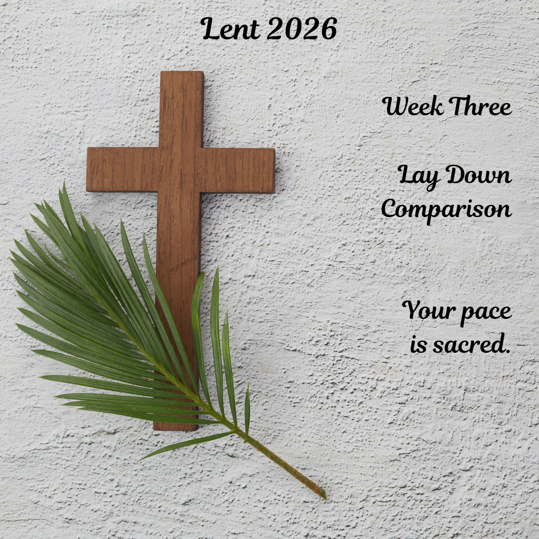 Lay Down Comparison and Embrace Your Pace: A Lenten Reflection on Grief and Healing