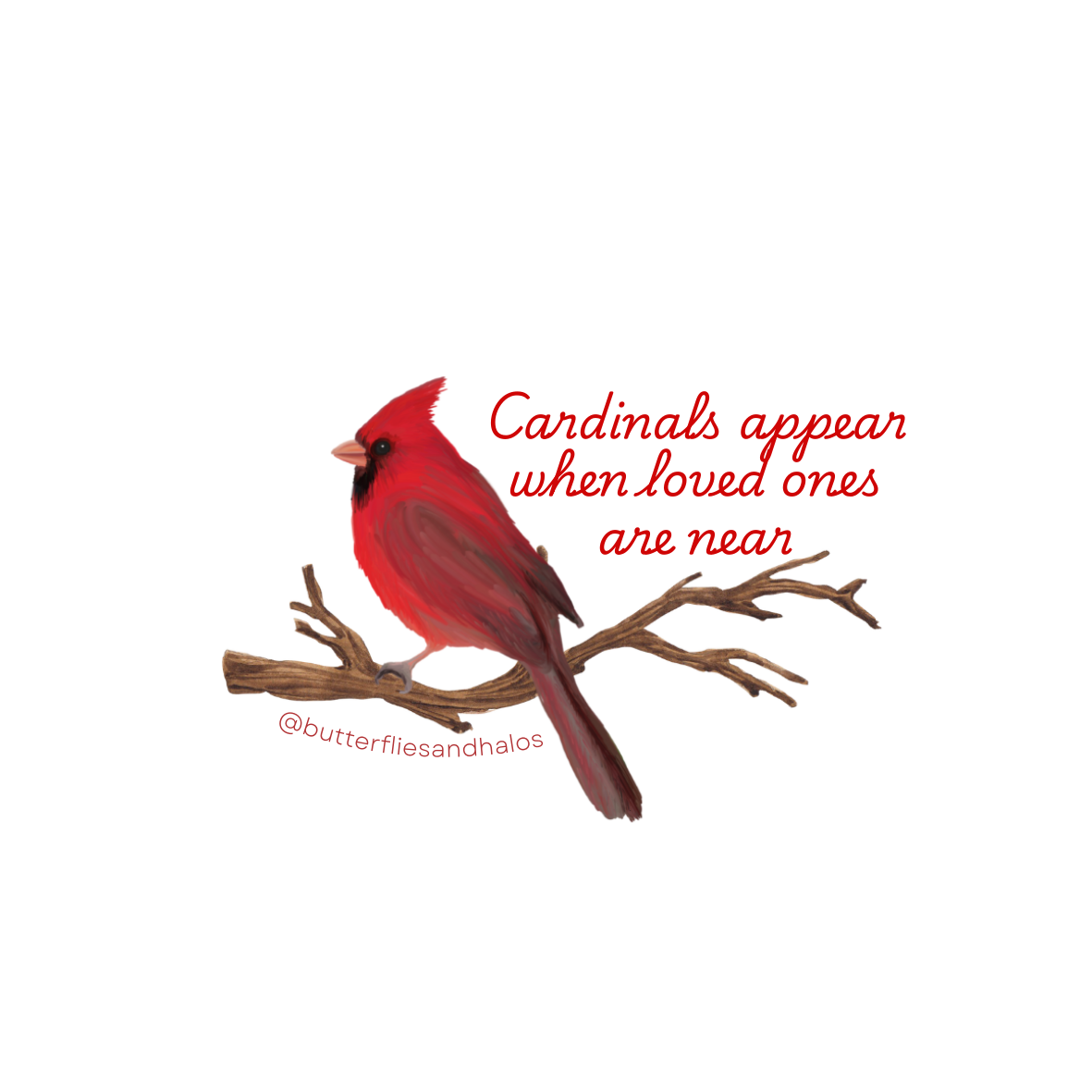 Cardinals appear when loved ones are near - vinyl sticker