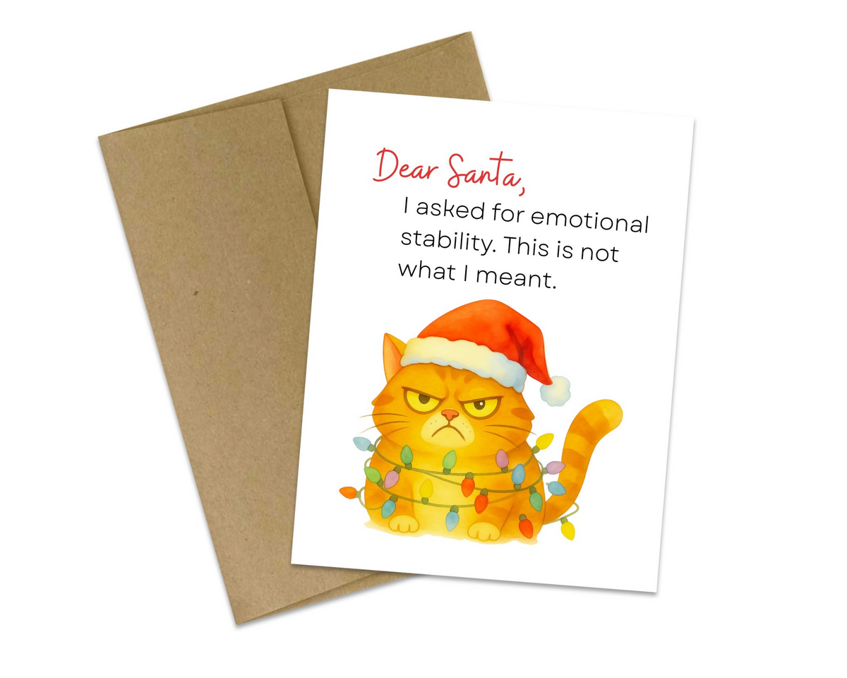 Dear Santa, I Asked for Emotional Stability | Funny Christmas Card